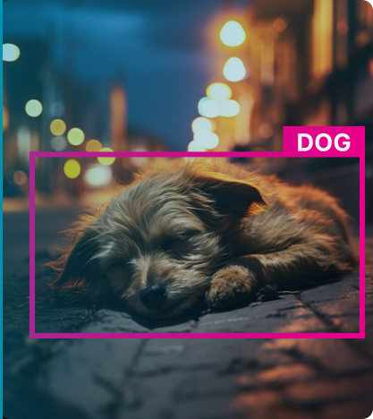 Image Classification